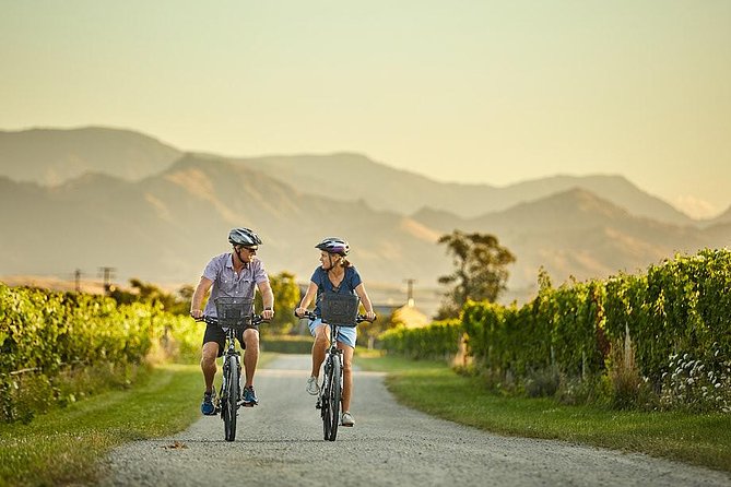 Private Biking Wine Tour (Full Day) in the Marlborough Region