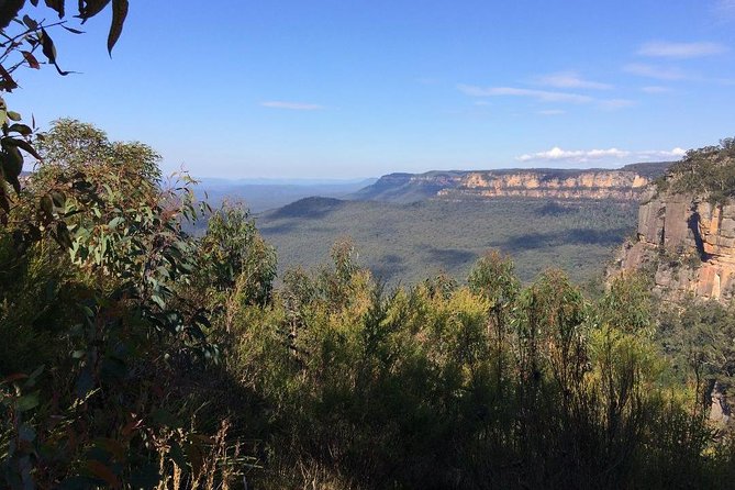 PRIVATE Blue Mountains Day Tour From Sydney With Wildlife Park and River Cruise - Tour Highlights