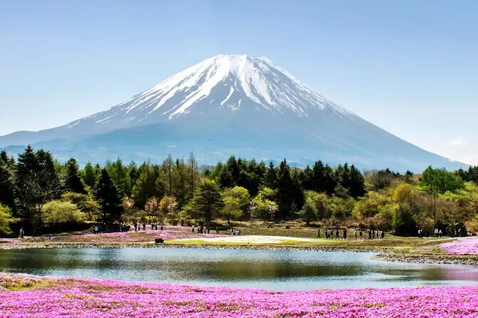 Private Car/Van Charter Full Day Tour MT Fuji And Hakone, (Guide) - Tour Overview