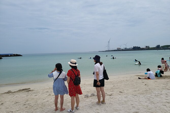 Private Day Tour East & South & West of Place in Jeju Island - Tour Details