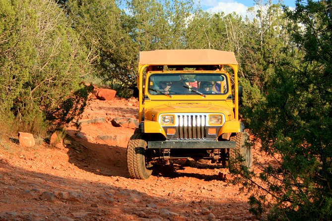 Private Diamondback Gulch by Off-Road Jeep From Sedona - Tour Details