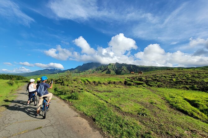 Private E-Mtb Guided Cycling Around Mt. Aso Volcano & Grasslands - Tour Highlights