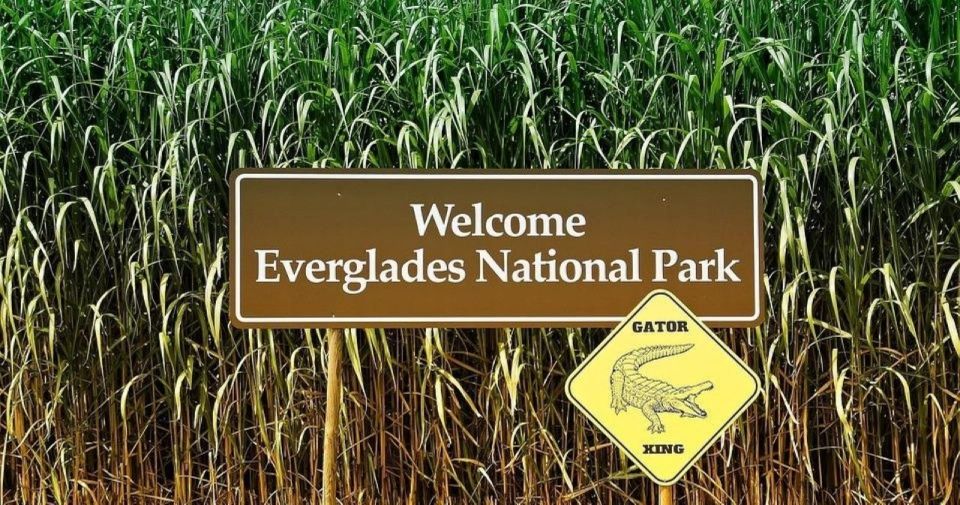 Private Everglades Tour:Explore the Beauty of the Everglades - Experience Highlights of the Tour