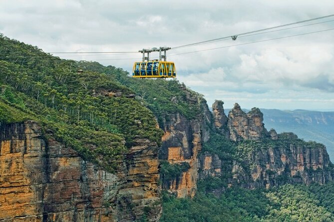 PRIVATE Featherdale Zoo Blue Mountains Scenic World in Luxury Car