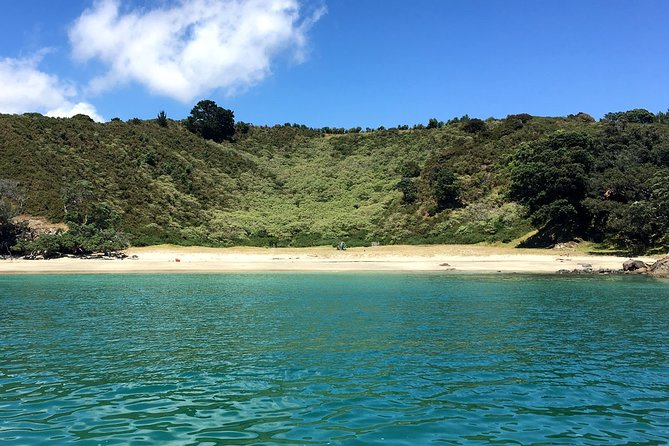 Private Freedom Best of Waiheke Island - Private Tour Itinerary Overview