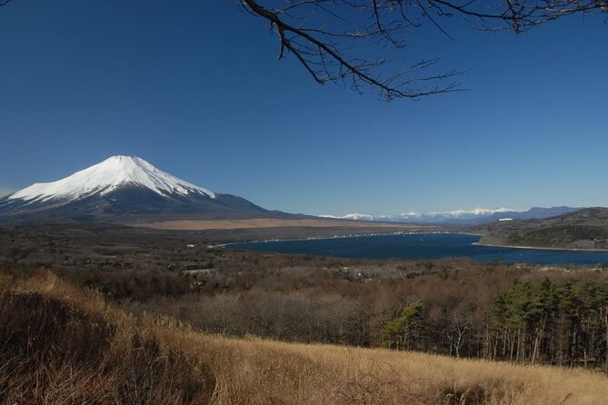 Private Full-Day Guided Tour in Mount Fuji Lakes - Tour Highlights