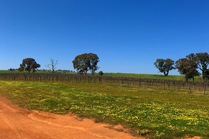 Private Full-Day Wineries Tour With Lunch, Canberra Region - Tour Overview