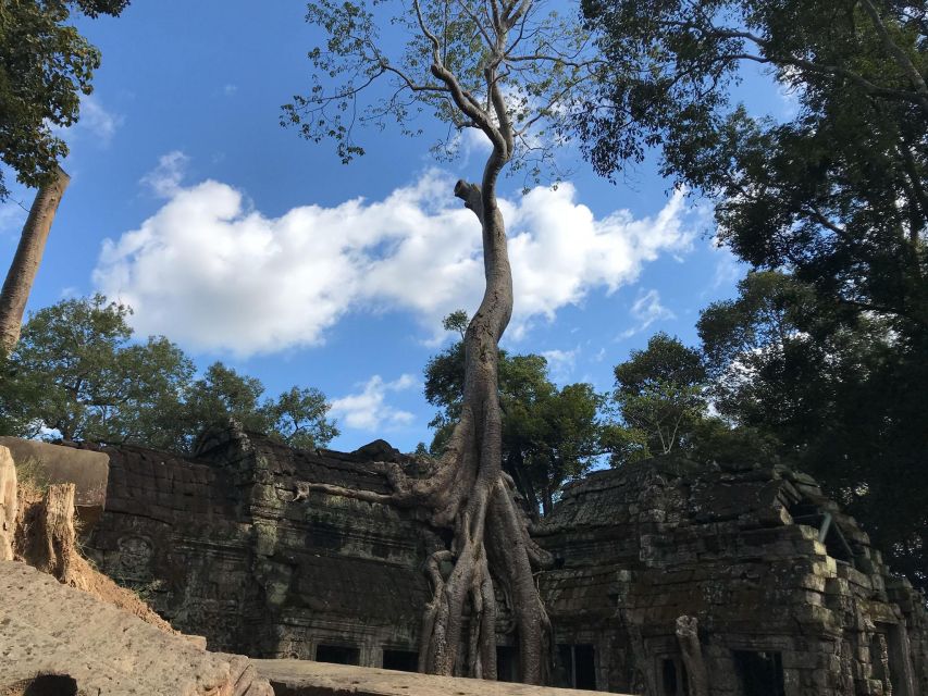 Private Guide: 1-Day Tour to Angkor Wat - Tour Overview