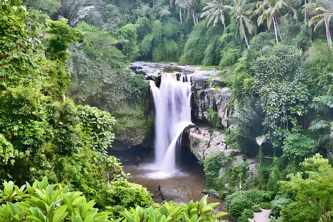 Private Half-Day Tour : Ubud Waterfall Tour With Lunch Packages