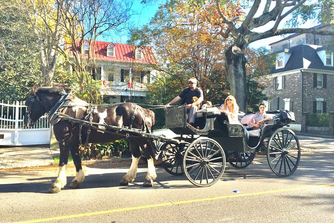 Private Historic Horse & Carriage Tour of Charleston - Important Information