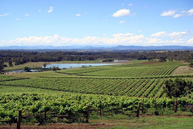 Private Hunter Valley Wine-Tasting Day Tour From Sydney - Tour Duration and Inclusions