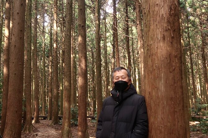 Private Jeju Island Eco Land and Film Location Forest - Tour Inclusions