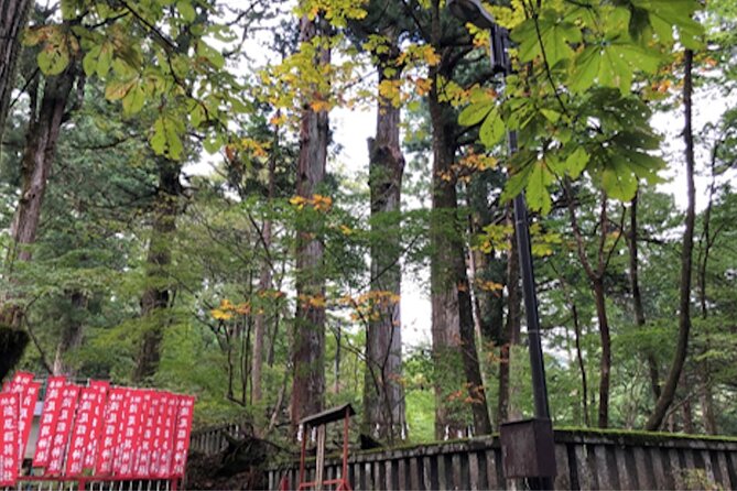 Private Morning Hike Around Nikko Toshogu Shrine
