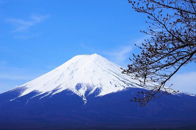 Private Mount Fuji Tour From Narita Airport /Haneda Airport/Tokyo