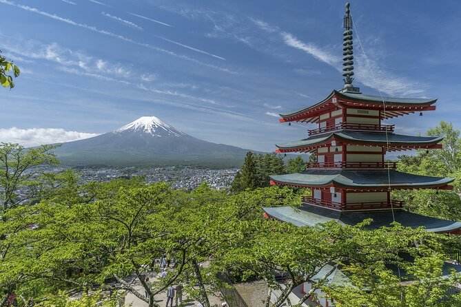 Private Mount Fuji Tour - up to 9 Travelers - Tour Details