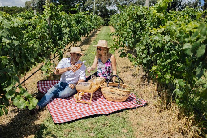 Private Picnic Lunch Experience in Orange With Wine - Booking Details