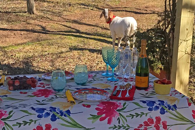 Private Picnic With Goats in Lexington - Experience Details