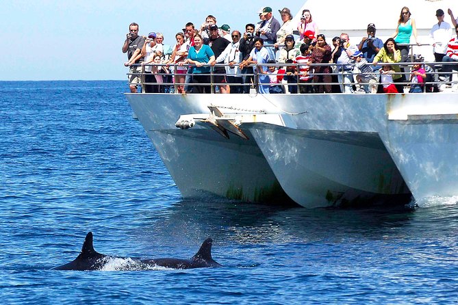 Private Port Stephens Day Trip From Sydney Incl Dolphin Cruise - Trip Overview