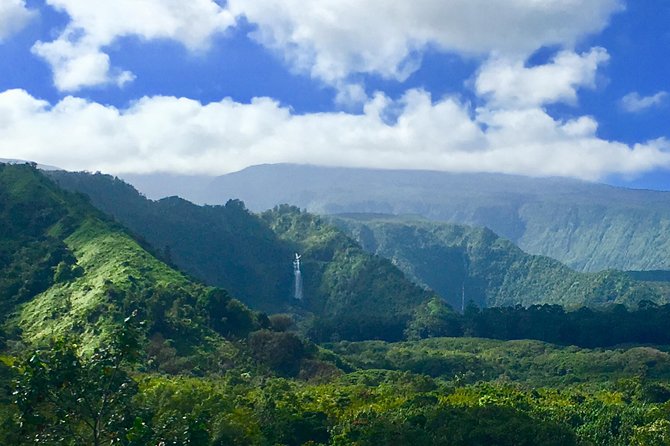 Private Road to Hana Tour - Customer Reviews and Recommendations