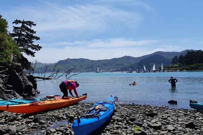 Private Sea Kayaking Tour From Christchurch/Lyttleton - Tour Pricing and Booking Details