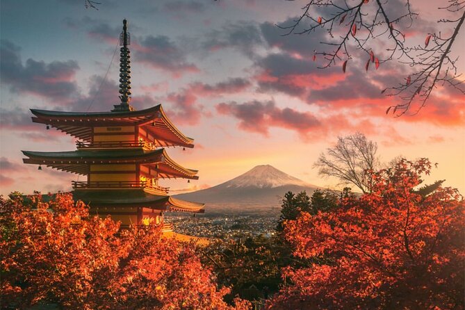 Private Sedan One-Day Mount Fuji Tour - Pricing Details