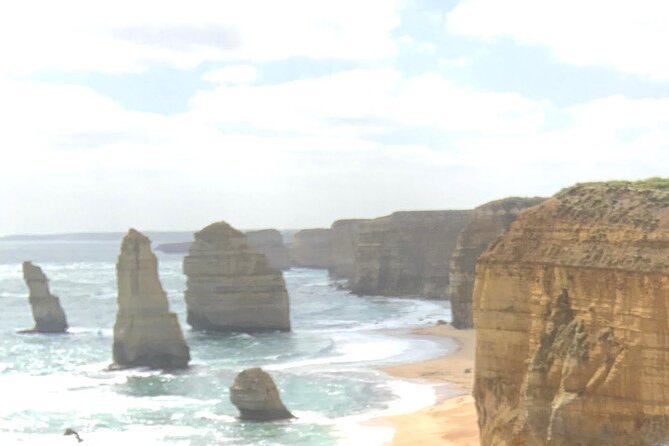 Private Small Group Tour of 2-6pax in Great Ocean Road Melbourne