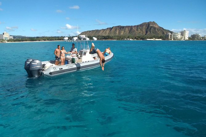 Private Snorkeling and Wildlife on The Adventure Boat