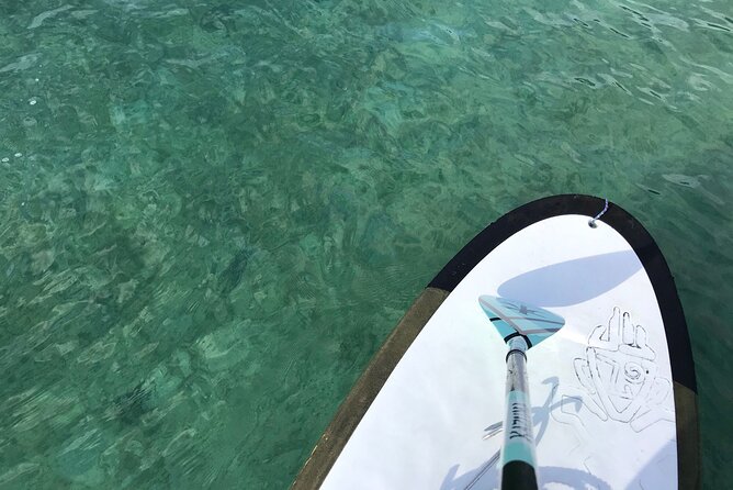 Private SUP Cruising Experience in Ishigaki Island - Booking Information and Confirmation