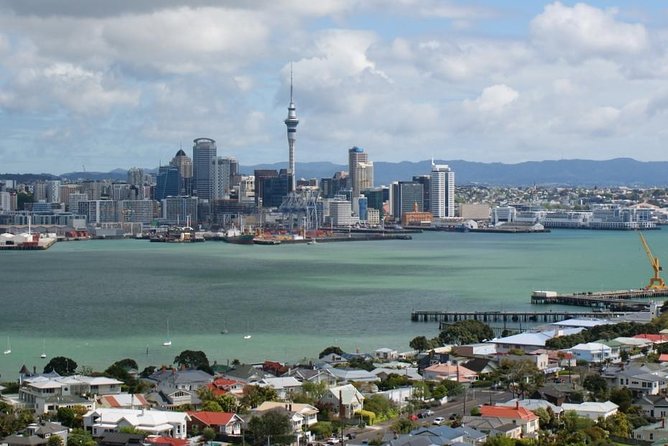 Private Tour: Auckland City and Countryside Tour - Tour Pricing and Options