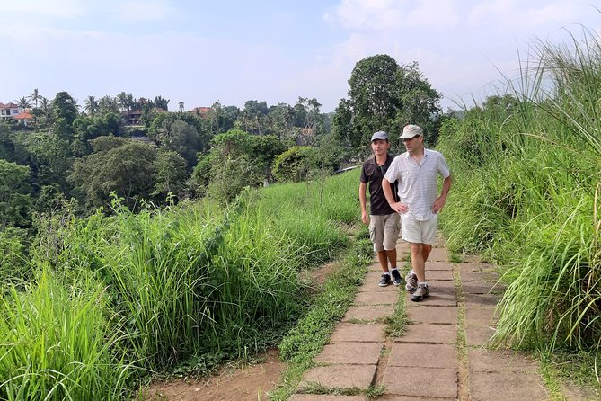 Private Tour: Campuhan Ridge Walk, Ubud Rice Terrace & Ubud Palace - Reviews and Ratings Overview
