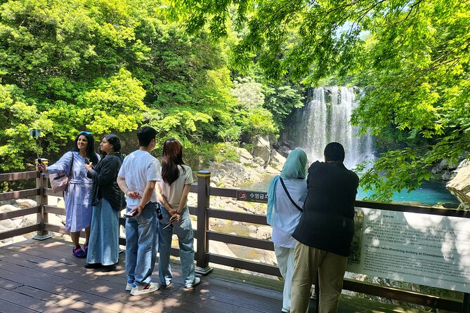Private Tour Cheonjeyeon Falls & Osulloc Museum in Jeju Island