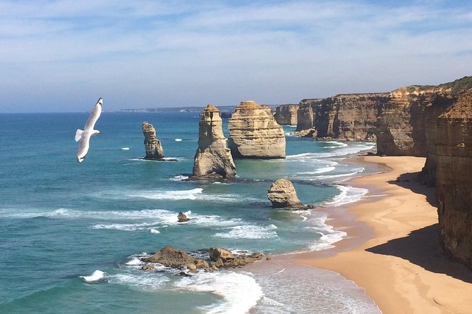 [PRIVATE TOUR] Express Great Ocean Road Day Trip