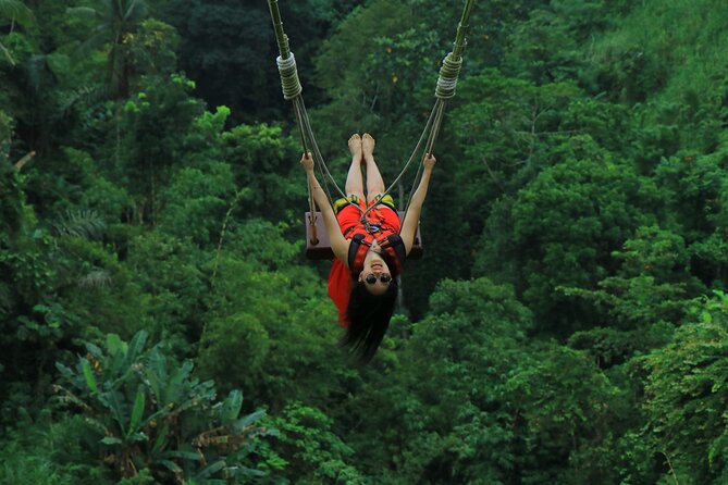 Private Tour in Ubud With Jungle Swing