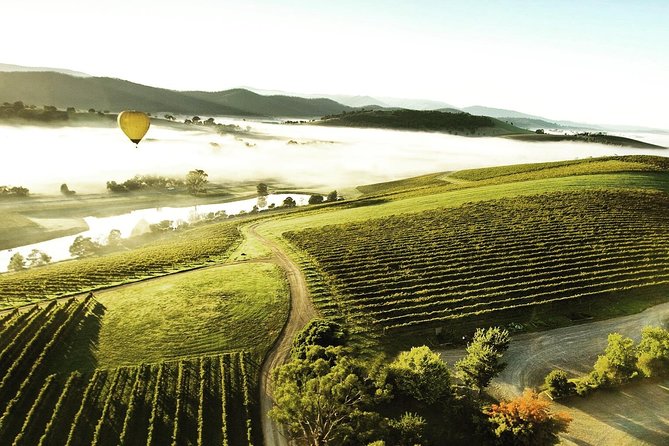 [PRIVATE TOUR] Mount Dandenong and Yarra Valley Winery Tour
