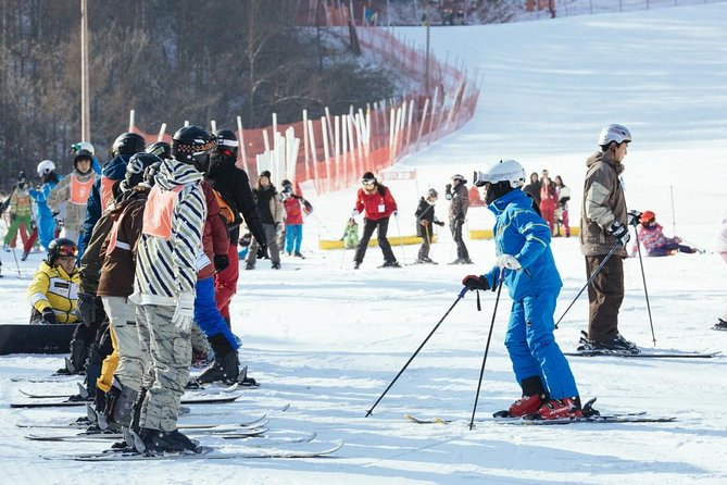 [Private Tour] Nami Island & Ski (Ski Lesson, Equip & Clothing Included) - Tour Highlights