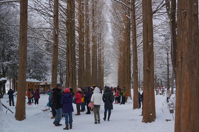 [Private Tour] Nami Island & Snow Viewing and Snow Sled (More Members Less Cost)