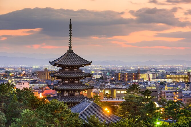 Private Tour to Nara From Osaka With English Speaking Driver - Itinerary Overview
