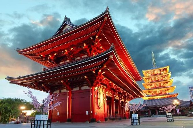 Private Transport 1 Day Tokyo Tour - Pricing and Booking Details