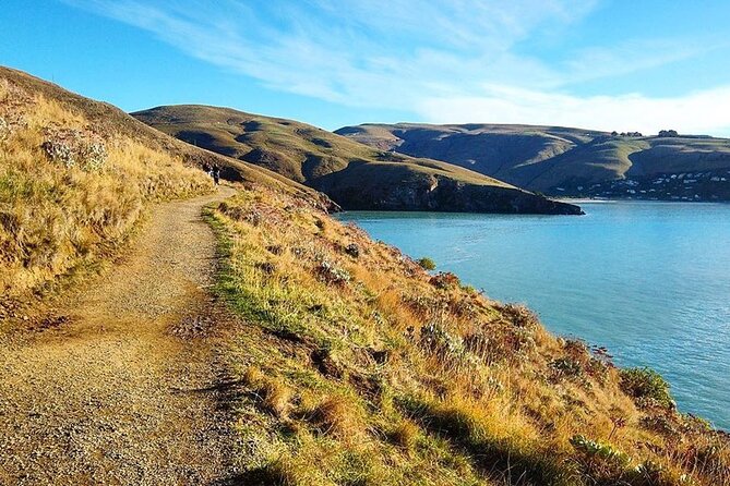 Private Walking Tour From Christchurch – Lyttelton & Godley Head
