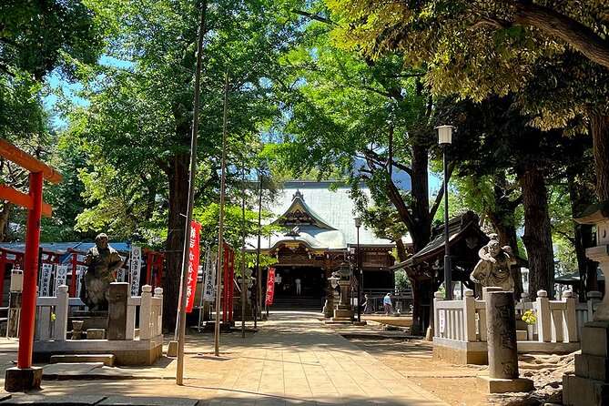 Private Walking Tour in Tokyo With a Local Guide - Tour Inclusions and Experience