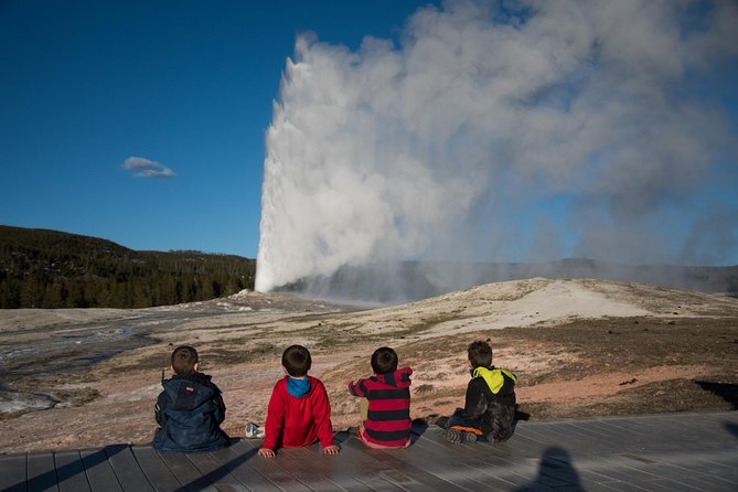 Private Yellowstone Old Faithful and Lower Loop Tour - Tour Details
