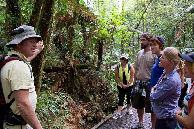 Puketi Rainforest Guided Walks .This Is Not a Shore Excursion Product .