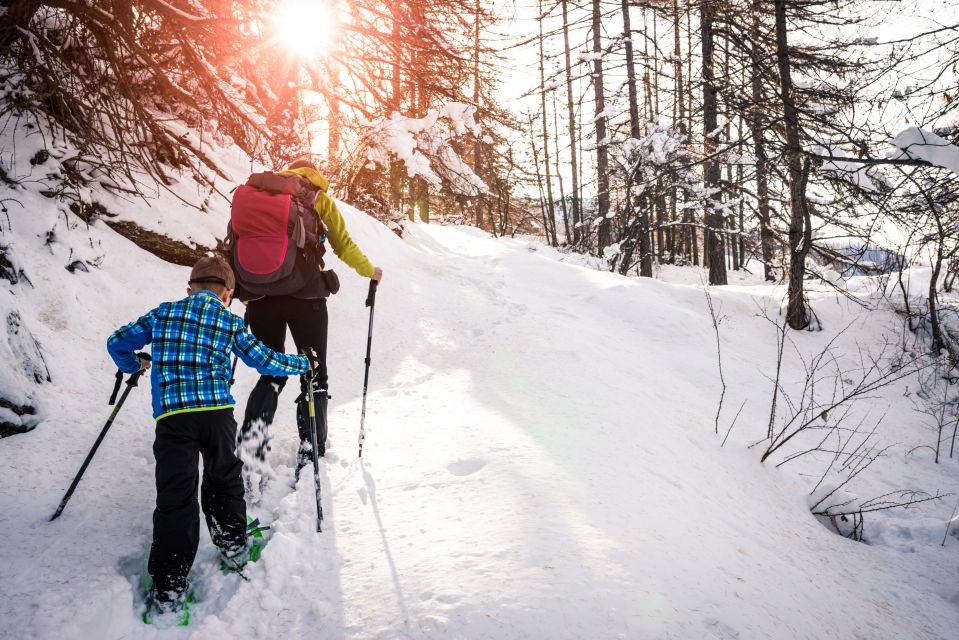 Quebec City: Jacques-Cartier National Park Snowshoeing Tour - Activity Details