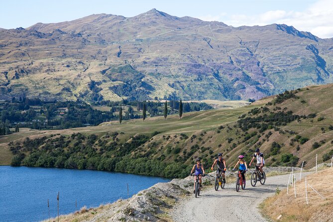 Queenstown Lakeside Half-Day Small-Group E-Bike Tour - Tour Highlights