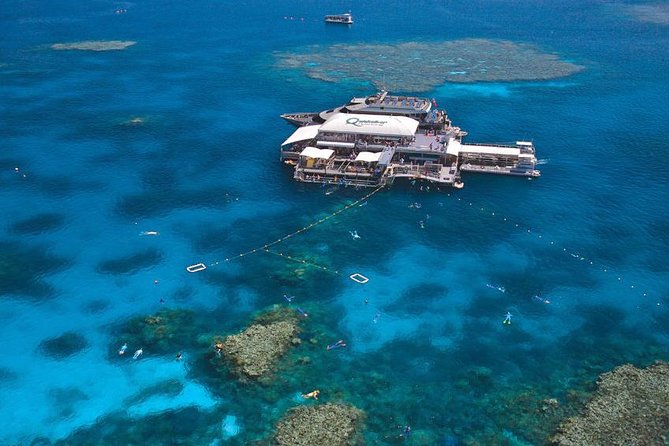 Quicksilver Outer Great Barrier Reef Snorkel Cruise From Palm Cove - Dining Experience