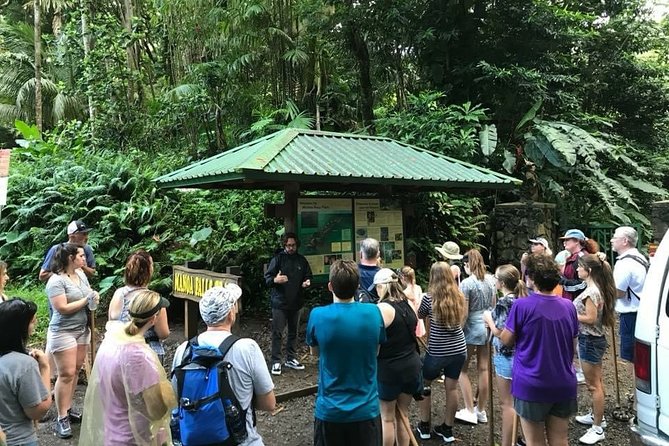 Rainforest Waterfall Trail and Shuttle Service - Trail Highlights and Features