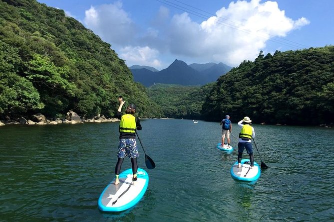 [Recommended on Arrival Date or Before Leaving! ] Relaxing and Relaxing Water Walk Awakawa River SUP - Overview of Awakawa River SUP