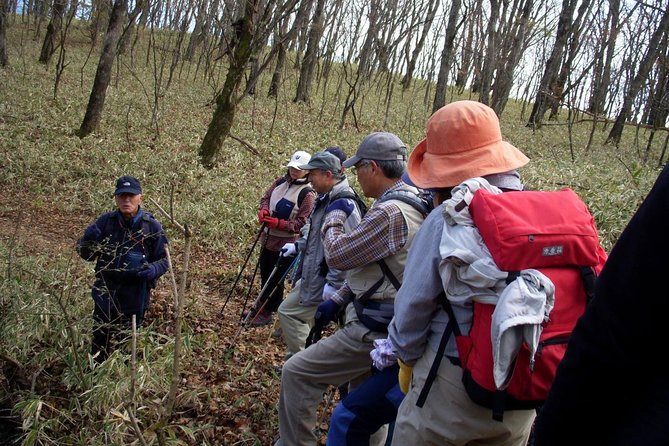 Relax and Refresh in Karuizawa Forest! Shinanoji Down Trekking Around Two People - Weather and Travel Requirements