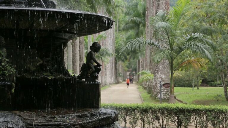 Rio De Janeiro: Botanical Garden Guided Tour & Parque Lage