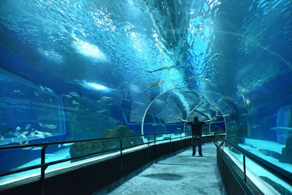 Rio De Janeiro: Marine Aquarium Entry Tickets - Ticket Details